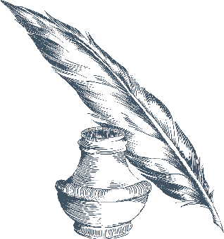 Feather illustration